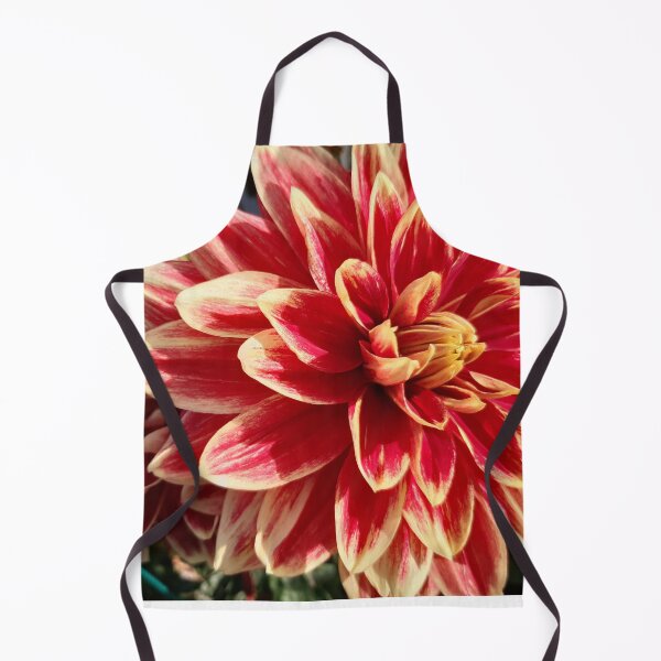 Item preview, Bicolor dahlia bloom designed and sold by pixperienz4u.