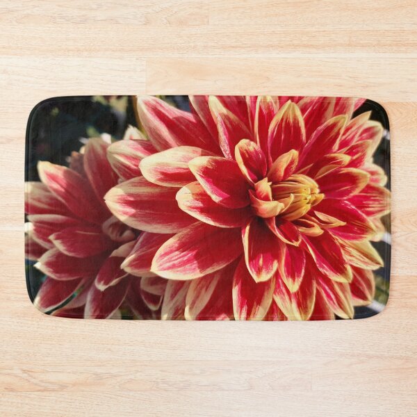 Item preview, Bicolor dahlia bloom designed and sold by pixperienz4u.
