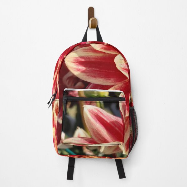 Item preview, Bicolor dahlia bloom designed and sold by pixperienz4u.
