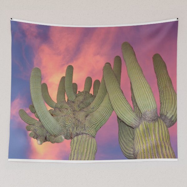 Artikelvorschau, Epischer Sonnenuntergang am Saguaro entworfen und verkauft von simonjayphotos.