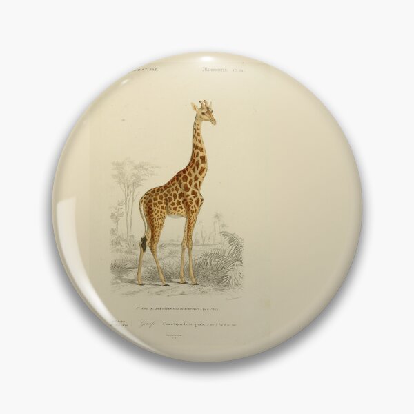 Item preview, Natural History Giraffe Illustration from Dictionnaire Universel designed and sold by TeeARTHY.