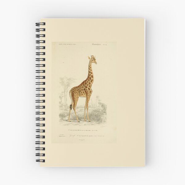 Item preview, Natural History Giraffe Illustration from Dictionnaire Universel designed and sold by TeeARTHY.
