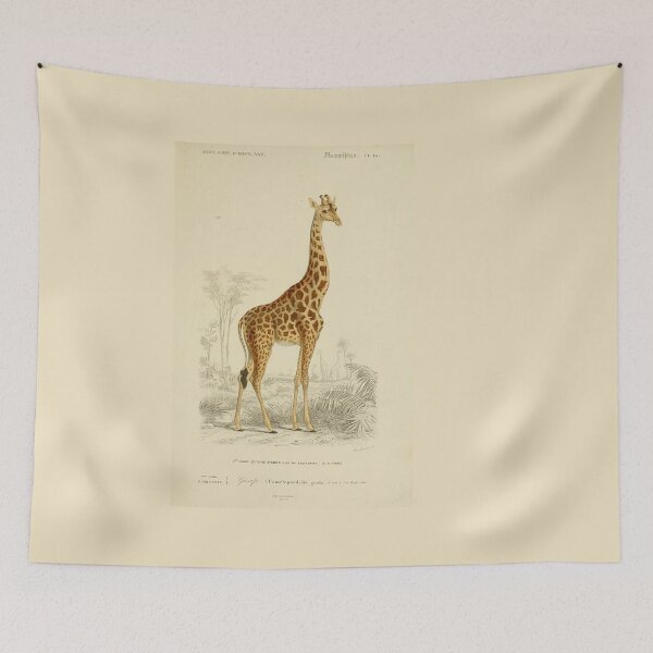 Item preview, Natural History Giraffe Illustration from Dictionnaire Universel designed and sold by TeeARTHY.
