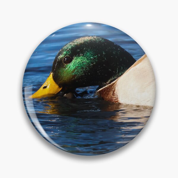 Item preview, Mallard Duck Gliding through Water designed and sold by SuburbanPond.