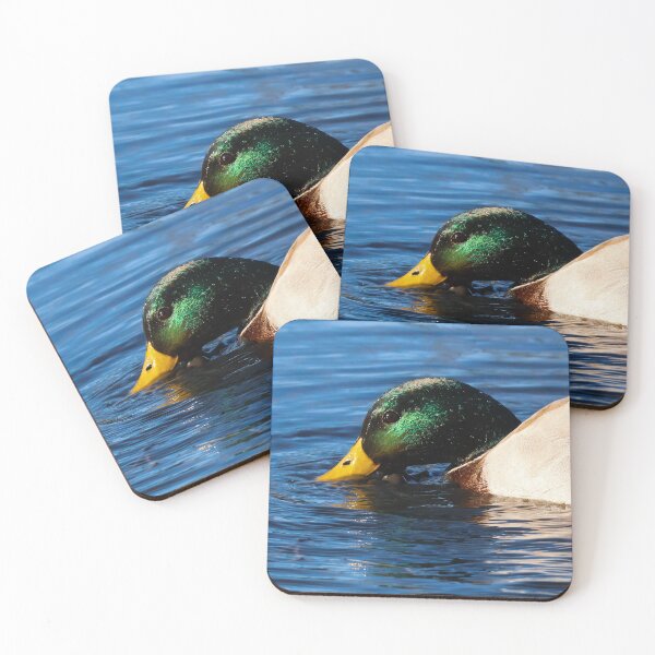 Item preview, Mallard Duck Gliding through Water designed and sold by SuburbanPond.
