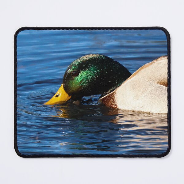 Item preview, Mallard Duck Gliding through Water designed and sold by SuburbanPond.