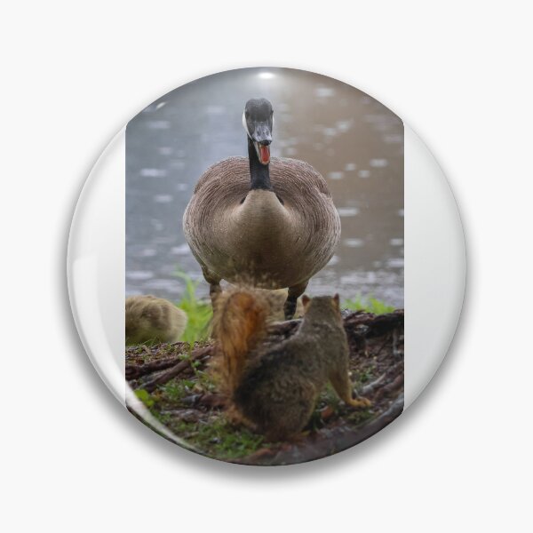 Item preview, Canadian Goose Screaming at Squirrel designed and sold by SuburbanPond.
