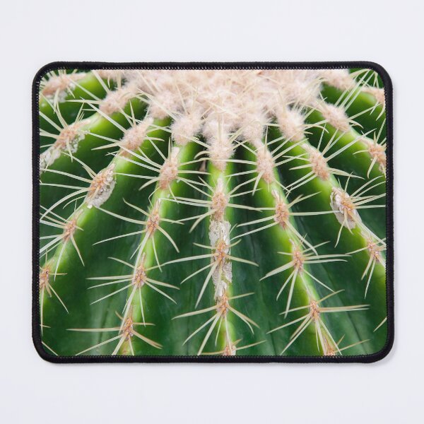 Item preview, Macro Texture of Golden Barrel Cactus Spines and Ribs designed and sold by LRPhotoart.
