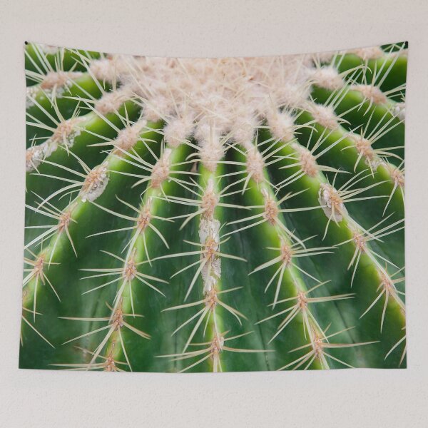 Item preview, Macro Texture of Golden Barrel Cactus Spines and Ribs designed and sold by LRPhotoart.
