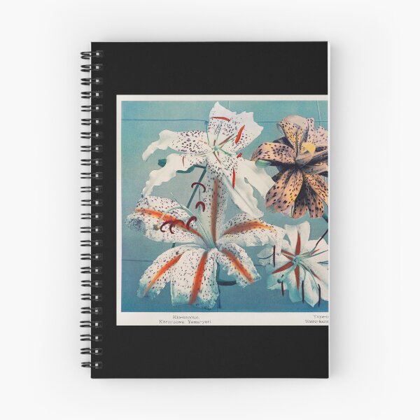 Item preview, Lily Hand-Colored Collotype by Kazumasa Ogawa 1896 Japanese  designed and sold by TeeARTHY.