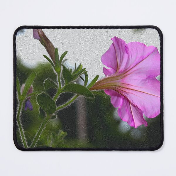 Item preview, Violet Petunia Against Textured Background designed and sold by BostonArcImage.