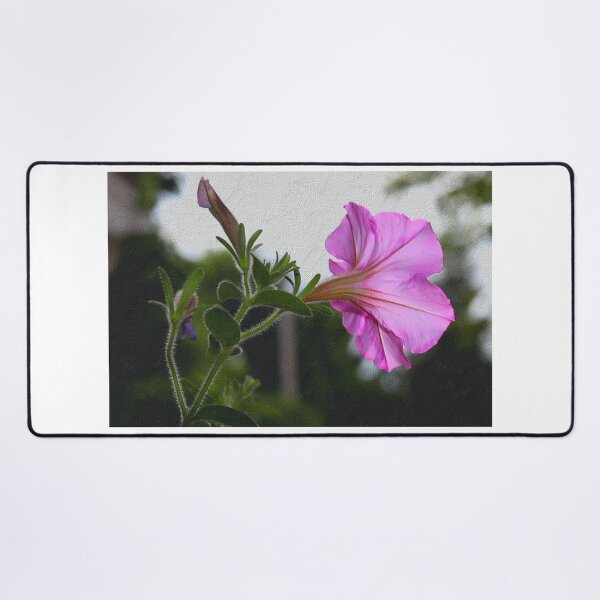 Item preview, Violet Petunia Against Textured Background designed and sold by BostonArcImage.