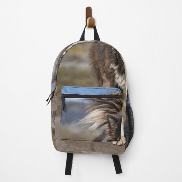 Item preview, Majestic Fluffy Greenlandic Sled Dog designed and sold by PhotoArt by Joan Carroll.