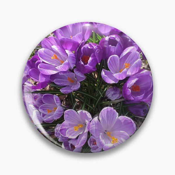 Item preview, Purple crocuses photograph designed and sold by esvb.