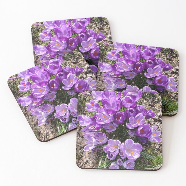 Item preview, Purple crocuses photograph designed and sold by esvb.