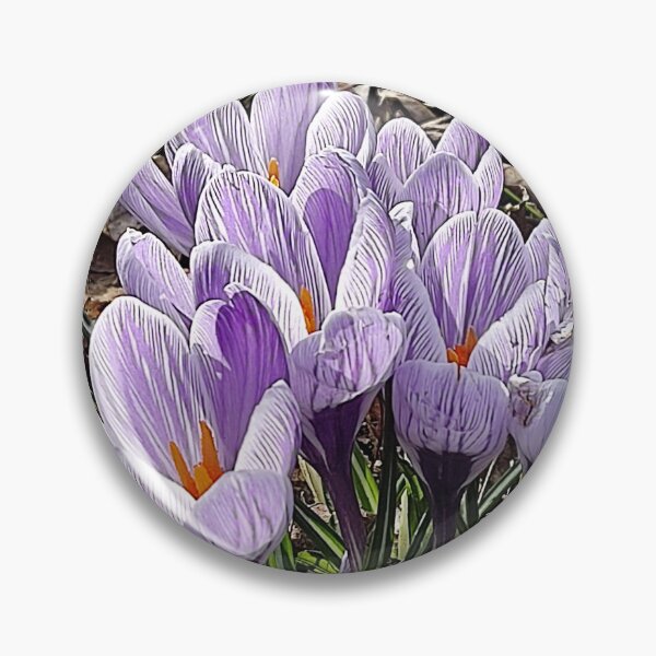 Item preview, Copy of Purple crocuses photograph designed and sold by esvb.