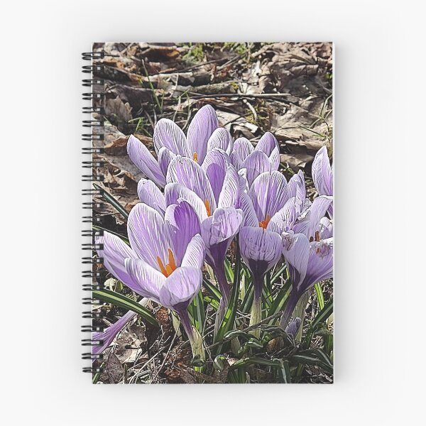 Item preview, Copy of Purple crocuses photograph designed and sold by esvb.