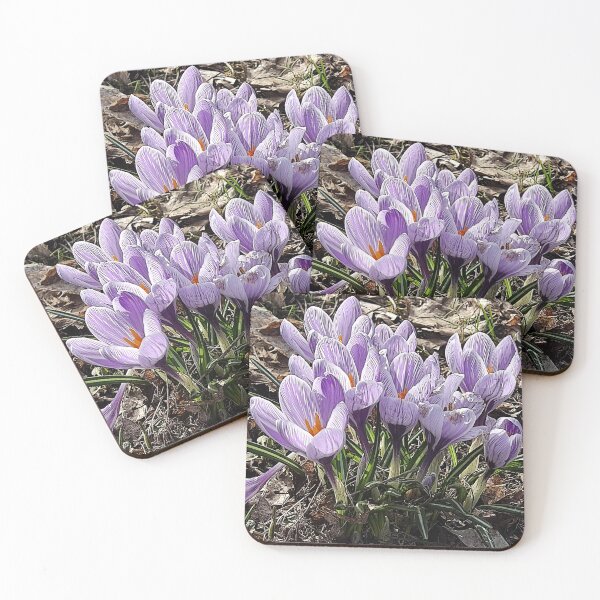 Item preview, Copy of Purple crocuses photograph designed and sold by esvb.