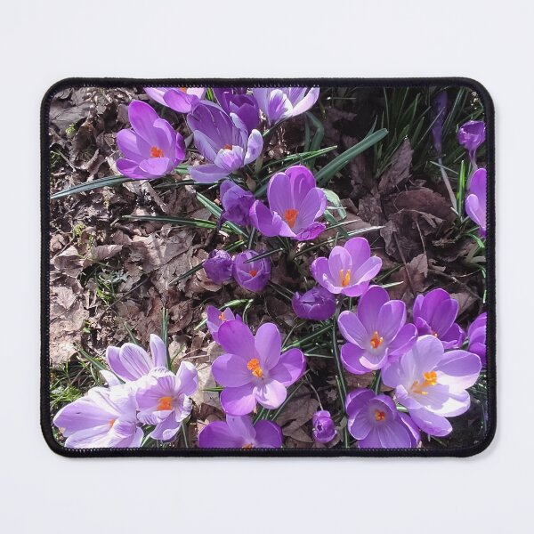 Item preview, Copy of Purple crocuses photograph designed and sold by esvb.