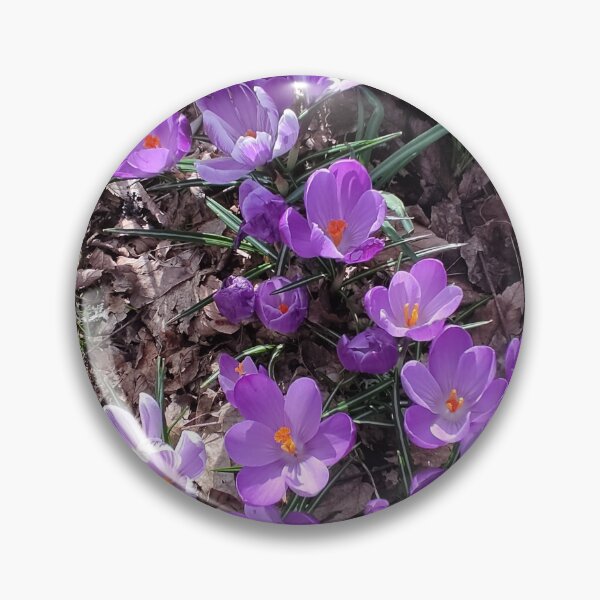 Item preview, Copy of Purple crocuses photograph designed and sold by esvb.