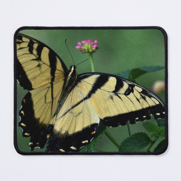 Item preview, EASTERN SWALLOWTAIL BUTTERFLY designed and sold by SKIP WILLITS FINE ART.