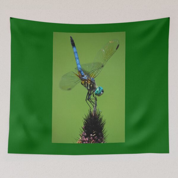 Item preview, CLIMBING TO THE TOP designed and sold by SKIP WILLITS FINE ART.