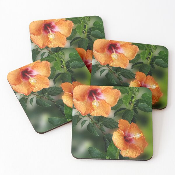 Item preview, Orange Hibiscus designed and sold by MoodyMuseArt.