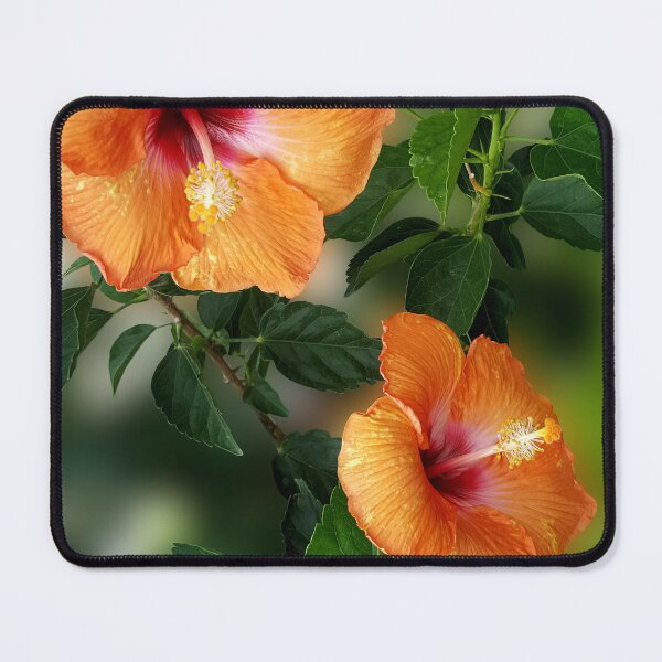 Item preview, Orange Hibiscus designed and sold by MoodyMuseArt.