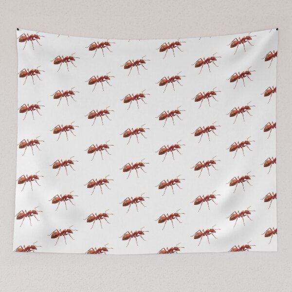 Item preview, Geometric Red Ant – Minimalist Insect Sticker for Science Students designed and sold by bsbd-action.