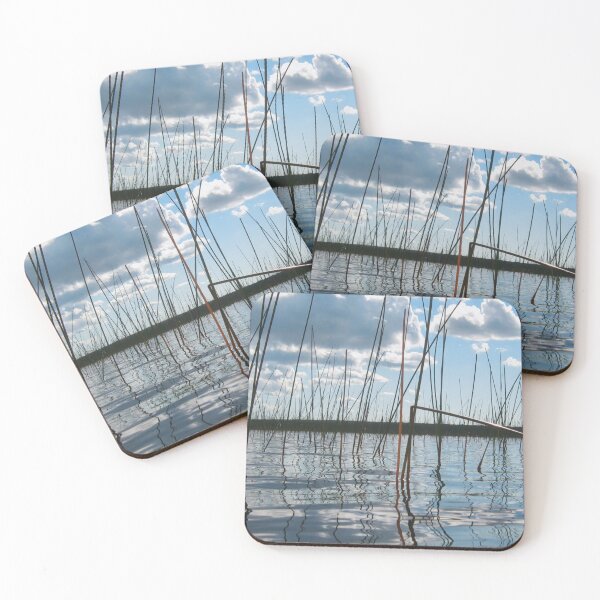 Item preview, Rice Lake Reeds and Reflections designed and sold by FFP Landscapes.