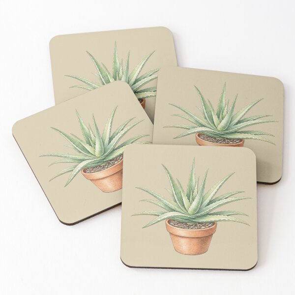 Item preview, Aloe Vera in Terracotta Pot designed and sold by mossandmyth1984.