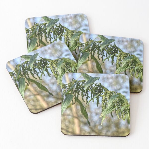 Item preview, Nettle Medicinal Plant designed and sold by StylishDecor.