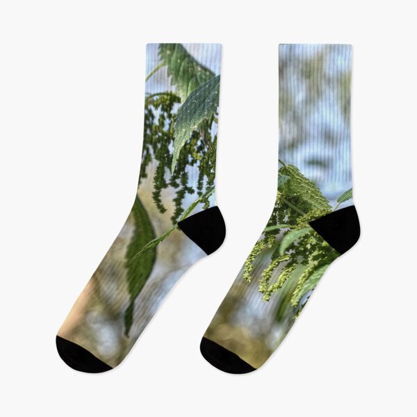 Item preview, Nettle Medicinal Plant designed and sold by StylishDecor.