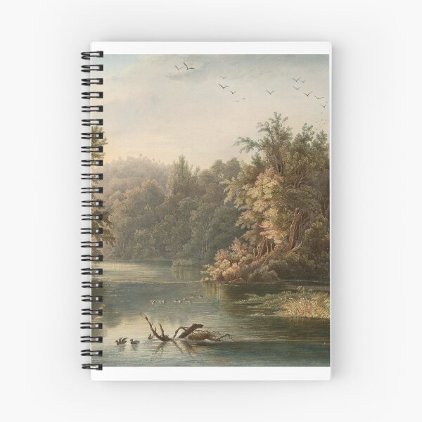 Item preview, Forest Scene on the Lehigh (Pennsylvania), Karl Bodmer, 1832 designed and sold by stillform33.
