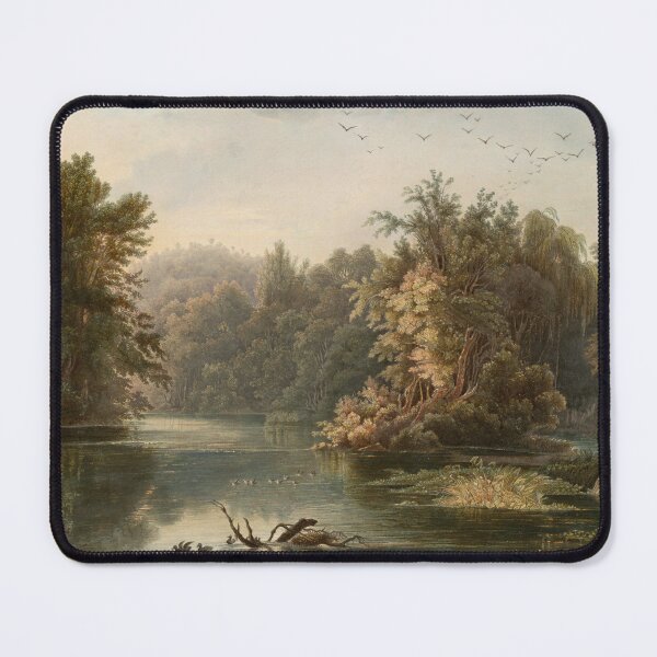 Item preview, Forest Scene on the Lehigh (Pennsylvania), Karl Bodmer, 1832 designed and sold by stillform33.