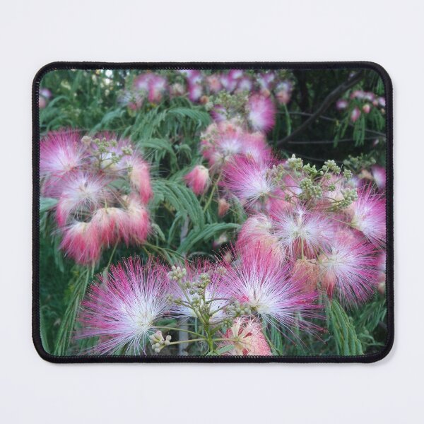 Item preview, Mimosa Blossoms designed and sold by MoodyMuseArt.