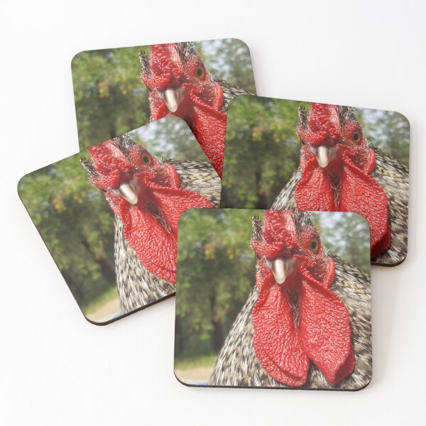 Item preview, Upset Snicken – Funny Angry Rooster Photography  designed and sold by BirdsRbeautiful.