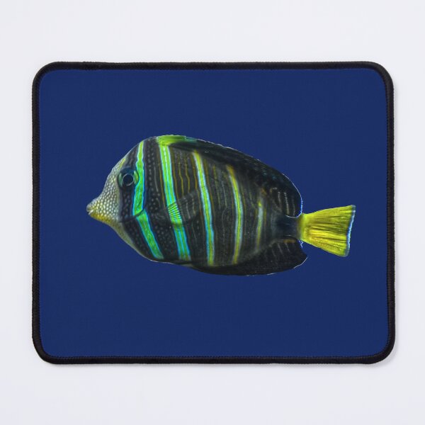 Item preview, Stripe Fish designed and sold by StylishDecor.