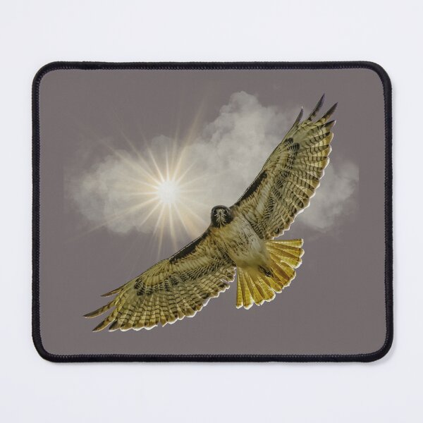 Item preview, Flying Red Tailed Hawk in the Sky designed and sold by Wild DeZigns .