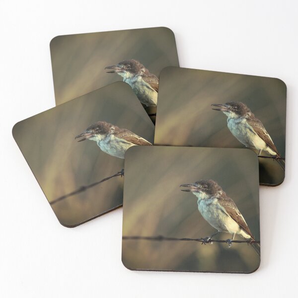 Item preview, Grey Butcherbird or Cracticus torquatus designed and sold by robdanimalphotography.
