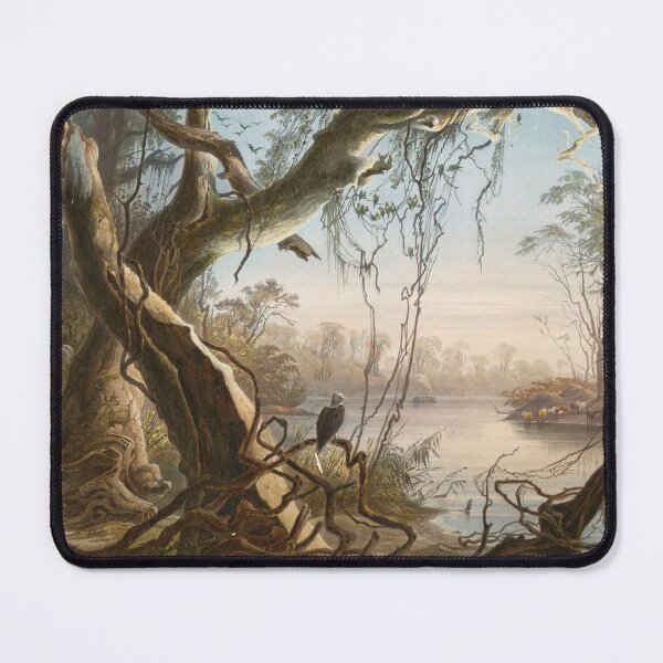 Item preview, Mouth of the Fox River (Indiana), Karl Bodmer, 1833 designed and sold by stillform33.