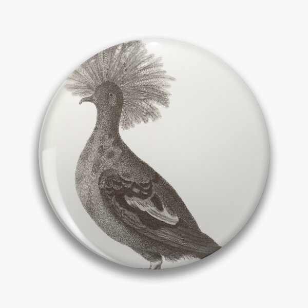 Item preview, Vintage Great Crowned Pigeon Engraving, George Shaw, 1809 designed and sold by stillform33.