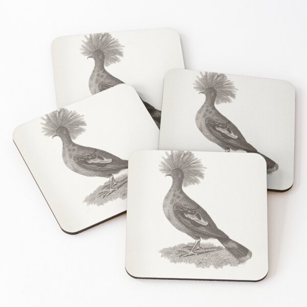Item preview, Vintage Great Crowned Pigeon Engraving, George Shaw, 1809 designed and sold by stillform33.