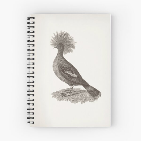 Item preview, Vintage Great Crowned Pigeon Engraving, George Shaw, 1809 designed and sold by stillform33.