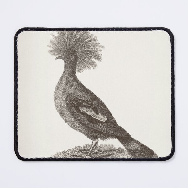 Item preview, Vintage Great Crowned Pigeon Engraving, George Shaw, 1809 designed and sold by stillform33.