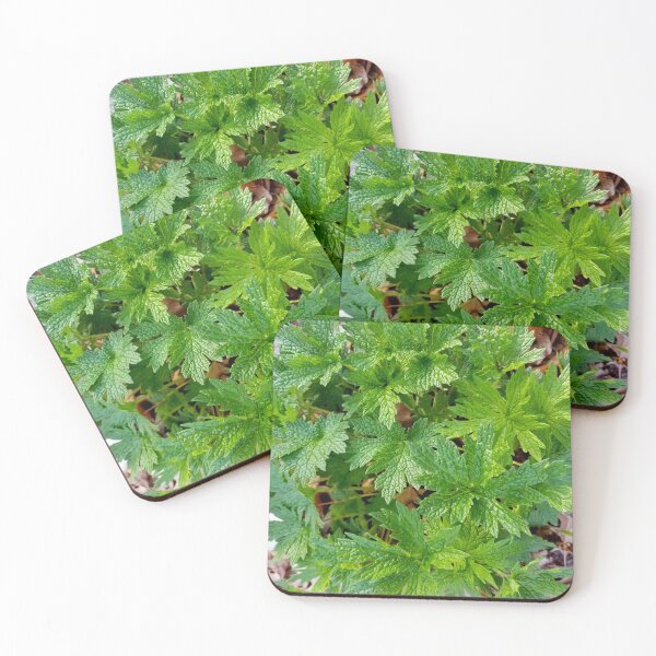 Item preview, Motherwort designed and sold by bjtomiko.