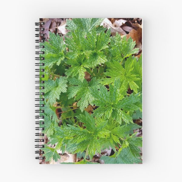 Item preview, Motherwort designed and sold by bjtomiko.