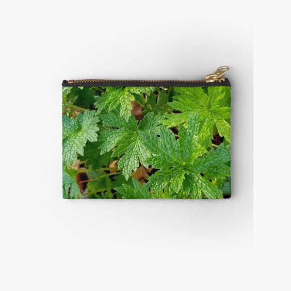 Item preview, Motherwort designed and sold by bjtomiko.