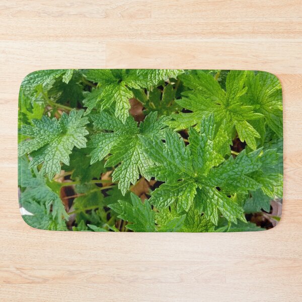 Item preview, Motherwort designed and sold by bjtomiko.