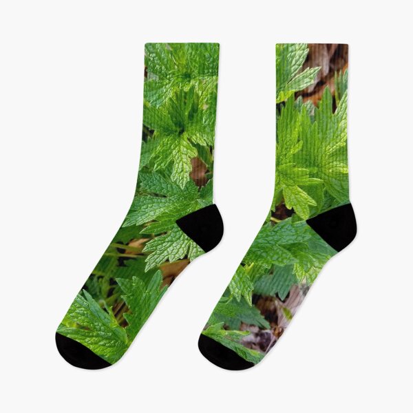 Item preview, Motherwort designed and sold by bjtomiko.